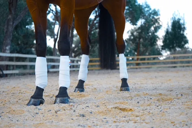 John Whitaker Training Bandages