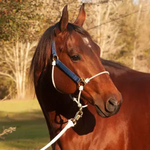 Nylon Lariat Hybrid Halter